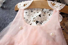 Pink Princess Baby Summer Tutu Dress