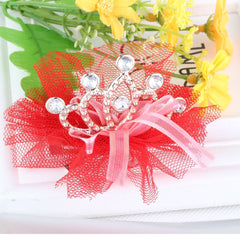 Princess Crown Hair Clip